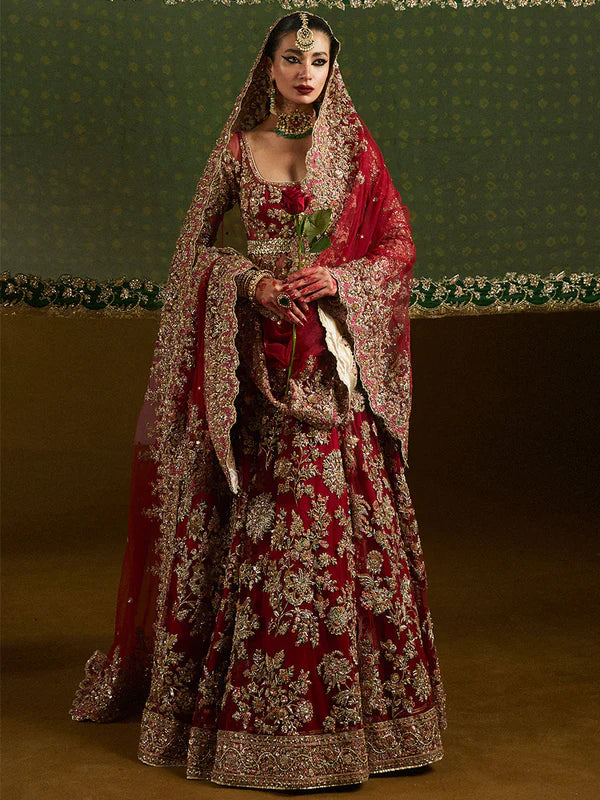 Hussain Rehar Net Hand Embellished & Embroidered Maxi - J0220